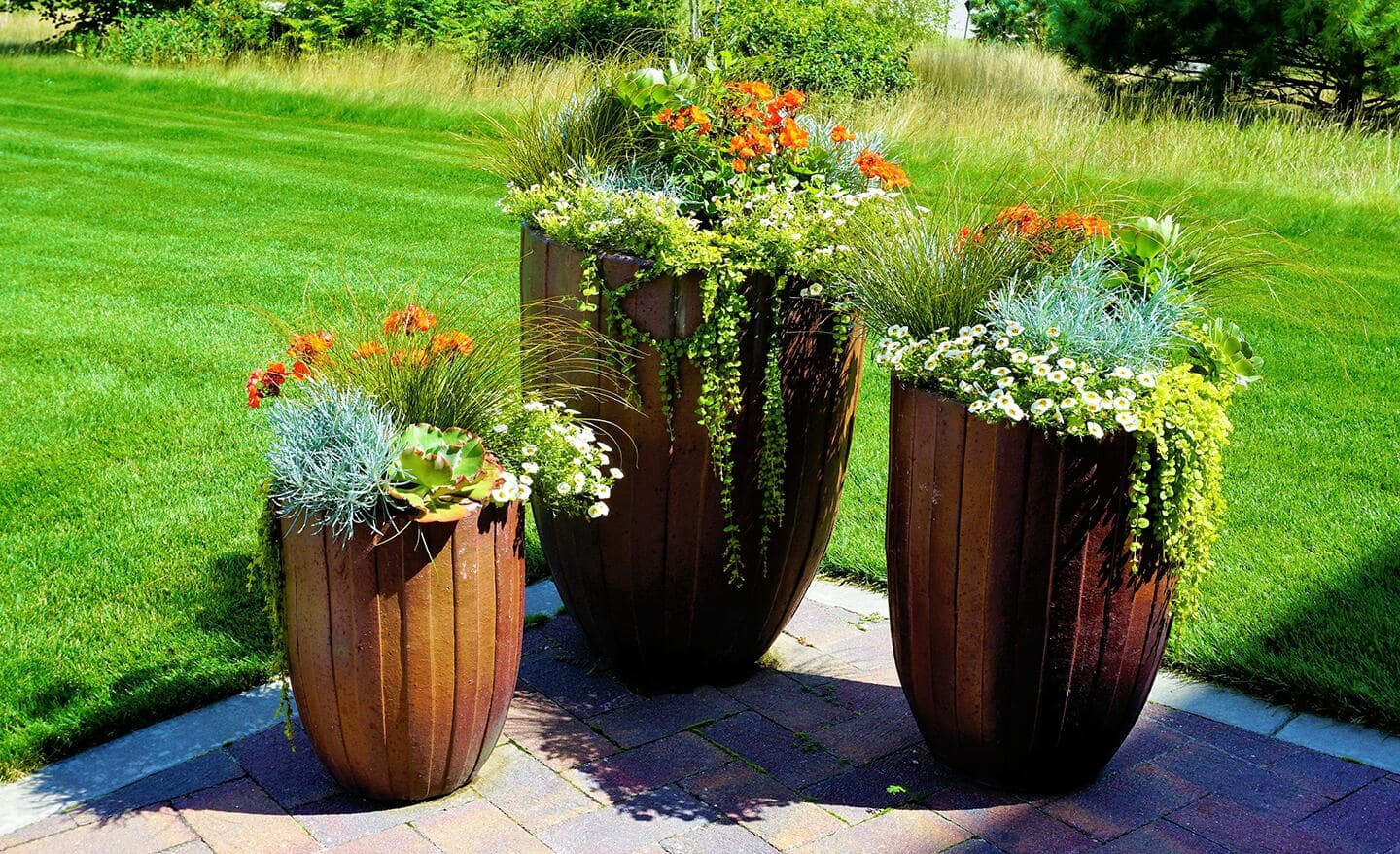 Thriller, Filler and Spiller Plants for Your Container Garden